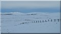 NC7406 : Fence at Knockarthur, Sutherland by Andrew Tryon