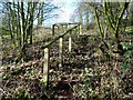 SK2331 : Footpath steps to Hoon Lane (south) by Ian Calderwood