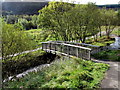 SS9792 : Wooden bridge over a stream in Clydach Vale Country Park by Jaggery