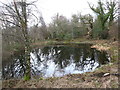 SJ2666 : Winter reflections in a woodland pond by Maggie Cox