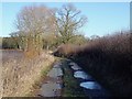 SK1730 : Icy puddles on Broom's Lane by Ian Calderwood