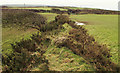 SX0583 : Cornish hedge near Tregonnick by Derek Harper