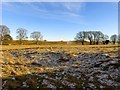 SU1069 : Looking towards the ancient earthworks at Avebury by Steve Daniels