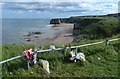 NZ3965 : Marsden Bay at South Shields by Mat Fascione