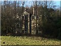 NS3881 : The ruins of Woodbank House by Lairich Rig