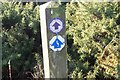 NT2263 : Waymarks, Castlelaw path by Jim Barton