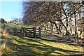 NT2364 : Footpath gate near Woodhouselee by Jim Barton