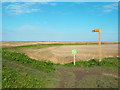 TG0444 : Norfolk Coast Path at Cley Marshes by Malc McDonald