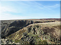 SK2092 : Crag in upper Abbey Brook by Trevor Littlewood