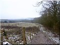 SJ8247 : Track on Gorsty Bank by Jonathan Hutchins