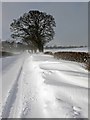 NT1075 : Snowdrifts at Carmelhill by Greg Fitchett