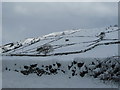 SD9097 : Snow-covered fields, west of Muker by Christine Johnstone