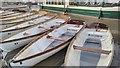 SP2054 : Rowing boats moored on the River Avon by Philip Halling