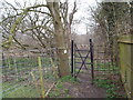 TQ5063 : Path through Upper Beechen Wood, near Eynsford by Malc McDonald