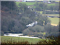 SN6579 : Afon Rheidol viewed from Pant Da by John Lucas