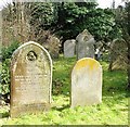 TG2108 : Old gravestones in Section 6 by Evelyn Simak