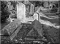 TG2108 : Old graves on the edge of Section 6 by Evelyn Simak