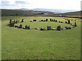 SD1788 : Swinside Stone Circle by G Laird