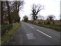 TM4978 : B1126 Wangford Road, Reydon by Geographer