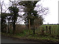 TM4978 : Footpath to A1095 Halesworth Road by Geographer