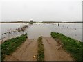 TF3500 : Flooded roadway - The Nene Washes by Richard Humphrey