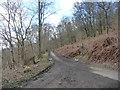 NY2924 : The former road to Keswick through Brundholme Wood by Christine Johnstone