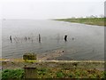 TF3500 : Morton's Leam lost in flood water - The Nene Washes by Richard Humphrey