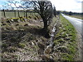 NY1535 : Drainage ditch alongside the road to Blindcrake by Christine Johnstone