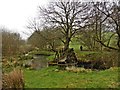 SS9833 : Footbridge over the River Haddeo by Roger Cornfoot