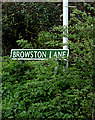 TG4901 : Browston Lane sign by Geographer