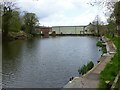 SJ9471 : Former mill pond, Langley by Alan Murray-Rust