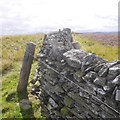 NT3626 : Electric fencing on Rough Knowe by Richard Webb