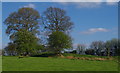 SO0559 : Field with ancient earthworks at Caer Du near Howey by Andrew Hill