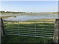 TL5392 : Gate to the washes near Suspension Bridge - The Ouse Washes by Richard Humphrey