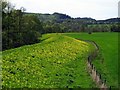 NY9066 : River flood defences at Hard Haugh by Andrew Curtis