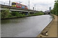 SJ8196 : Tram and gosling by the Bridgewater canal by Philip Jeffrey