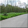 SO1825 : Picnic table in a layby north of Cwmdu, Powys by Jaggery