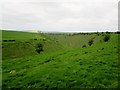 SE8562 : Deep  Dale  from  the  footpath  above by Martin Dawes