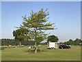 SJ8065 : Grassland used as lorry park at Somerford Park Farm by Jonathan Hutchins