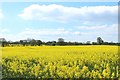 NZ1070 : Arable land near Kyloe House by Graham Robson