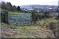 SE0741 : Field gate on west side of Thwaites Brow Road by Roger Templeman