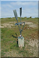 TM4762 : Sculpture on Sizewell Beach by Geographer