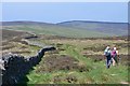 NT4231 : Southern Upland Way and Old Drove Road by Jim Barton