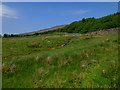  : Wall on the north side of Kinloch Glen by John Allan