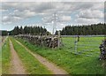 NH7142 : Pylons at Bogbain by valenta