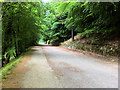 SK1790 : Bridlepath along Derwent Reservoir at Hancock Wood by David Dixon