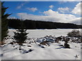 NN9147 : Frozen Loch Scoly by Andy Waddington