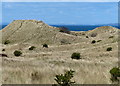 NT4682 : Sand dunes at Gullane Sands by Mat Fascione