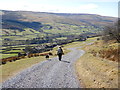 SD9498 : Dropping down into Dyke Heads by Andy Waddington