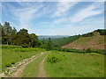 NX8293 : Track on Ford Hill by Alan O'Dowd